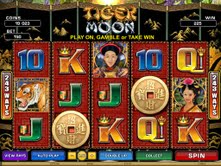 Microgaming casino game : Tiger Moon